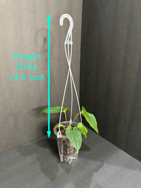 4 inch clear self watering pot with good airflow, heavy duty small transparent self-watering planter, 4 inch clear hanging basket