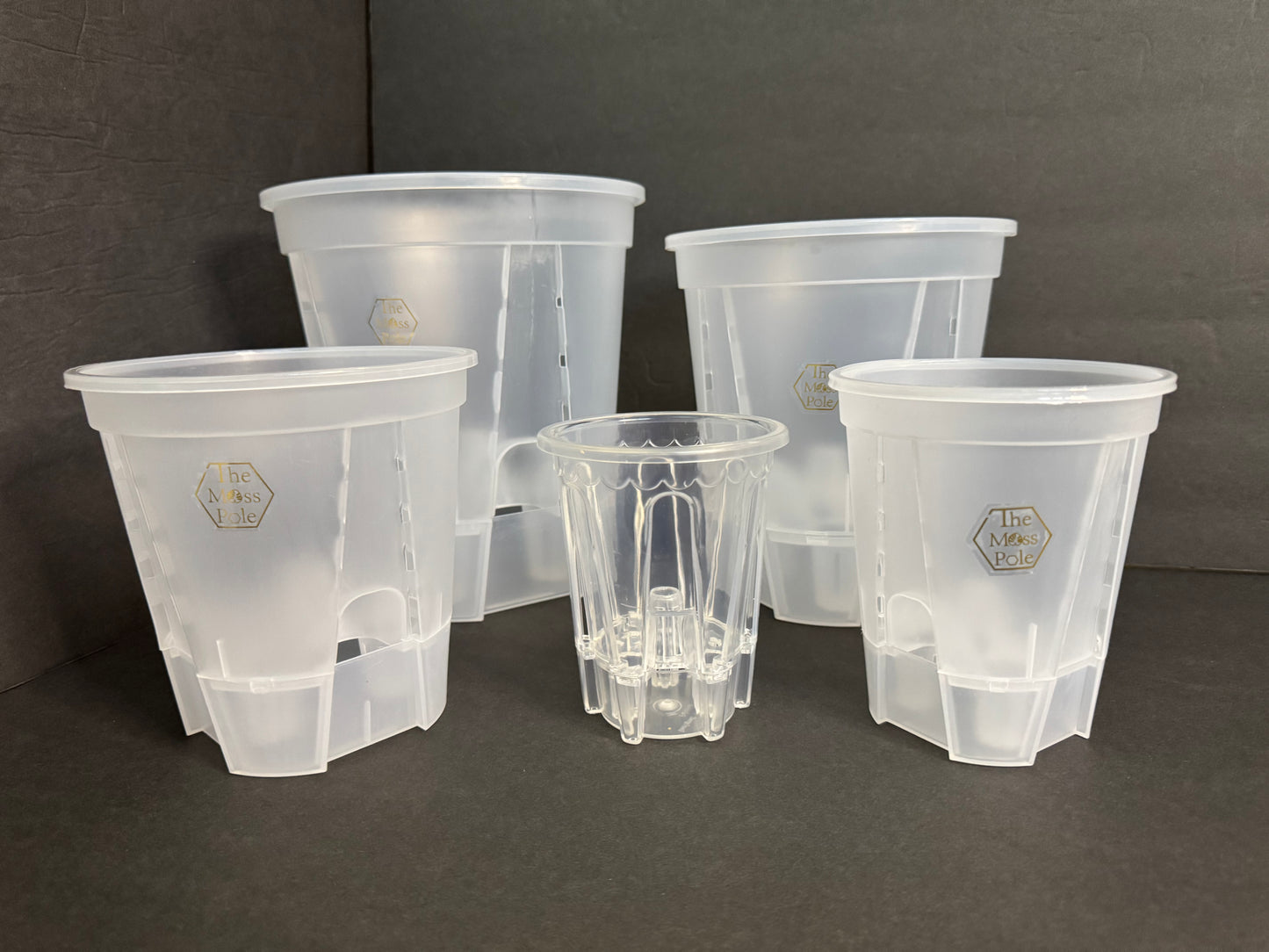 Clear Self-Watering Pot – 4" 5" 6" 7" 8" Sizes | Transparent Plastic Planter for Indoor Plants | Optional Wick + O-Ring