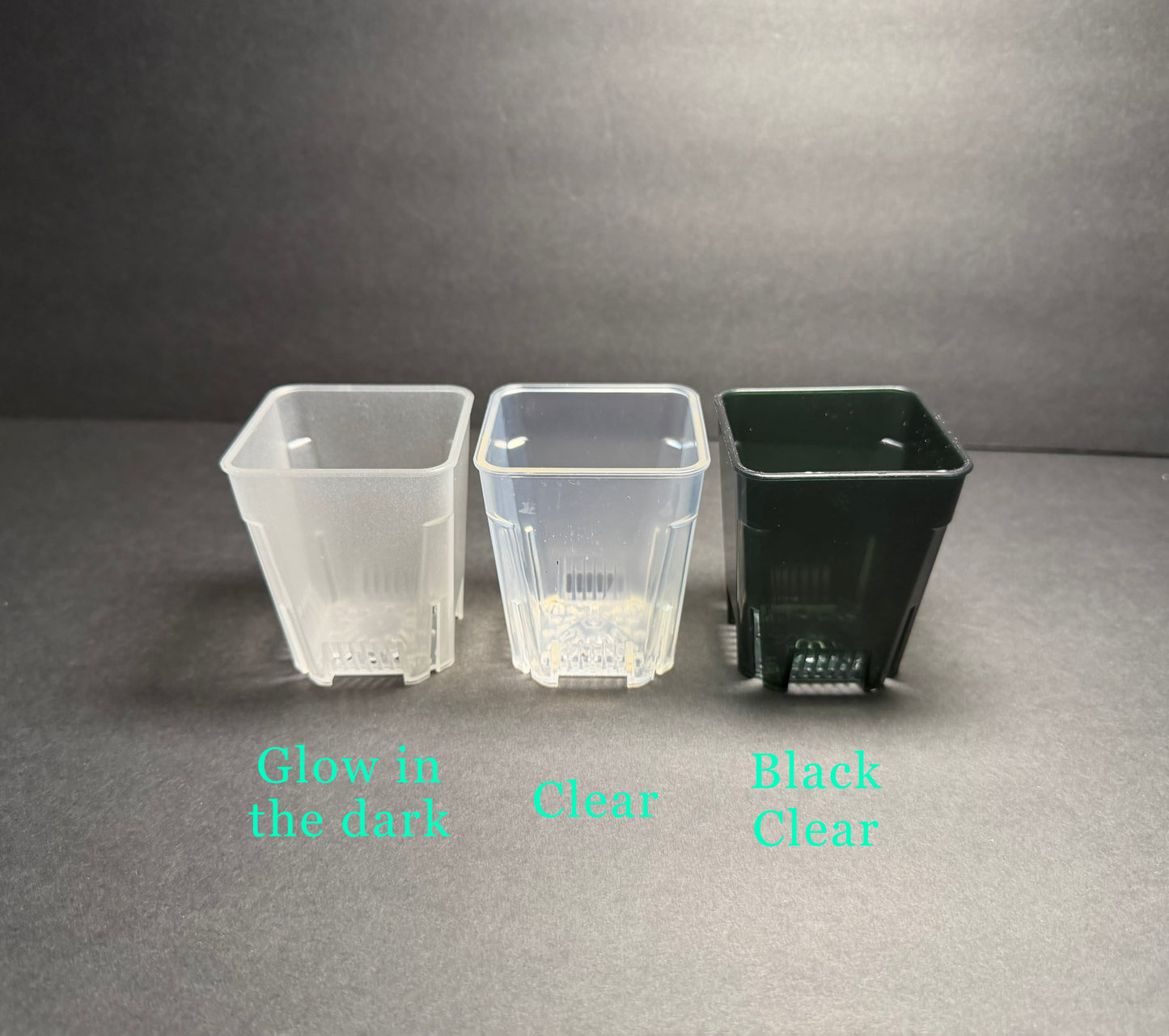Clear Square Pots and Clear Square Tall Planter Pots — Small / Medium / Large with great airflow and drainage