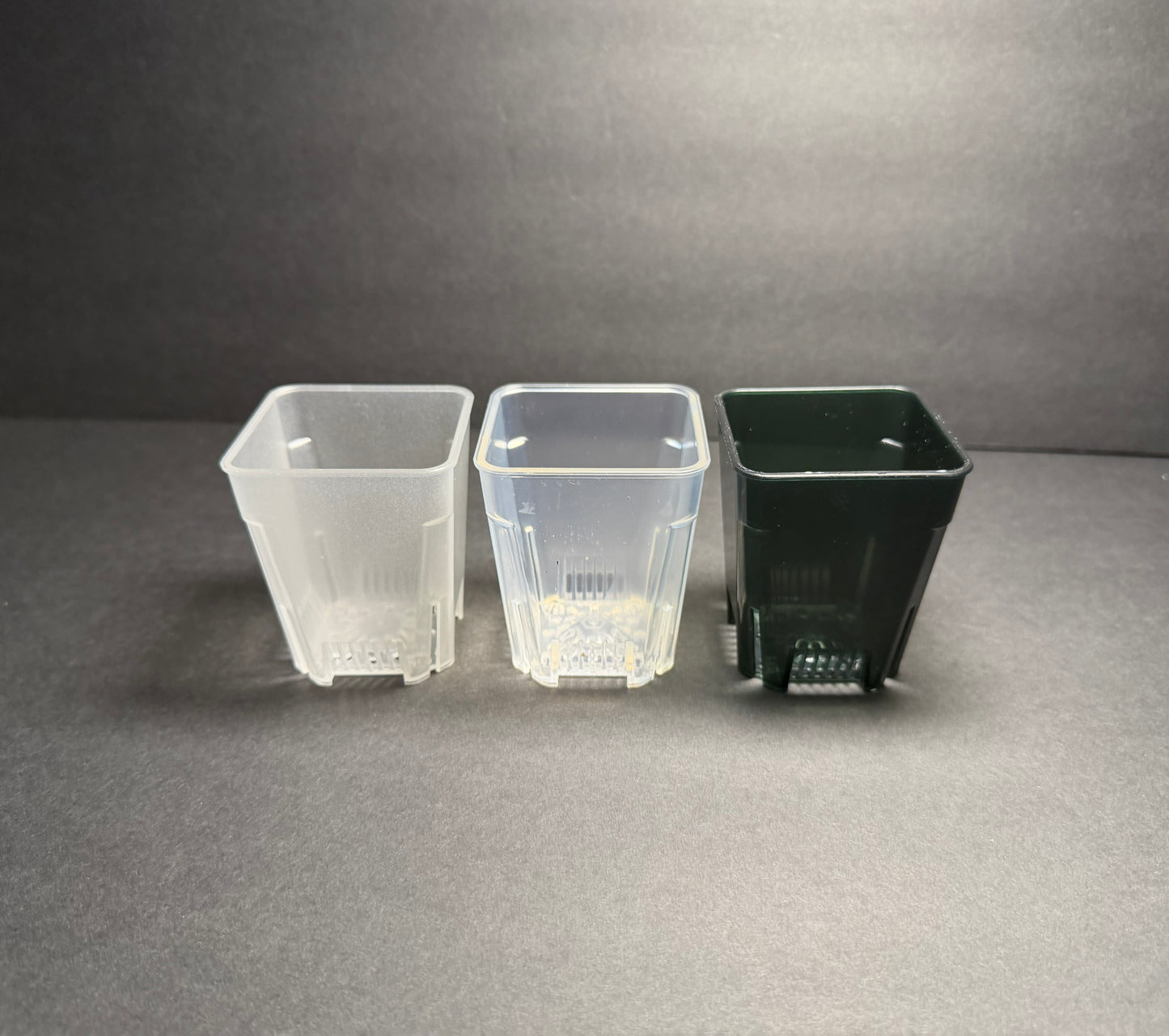2.5” Transparent Tall Planter Pot — Clear, Black Clear & Glow-in-the-Dark