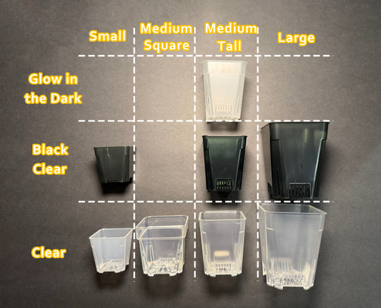 Clear Square Pots and Clear Square Tall Planter Pots — Small / Medium / Large with great airflow and drainage