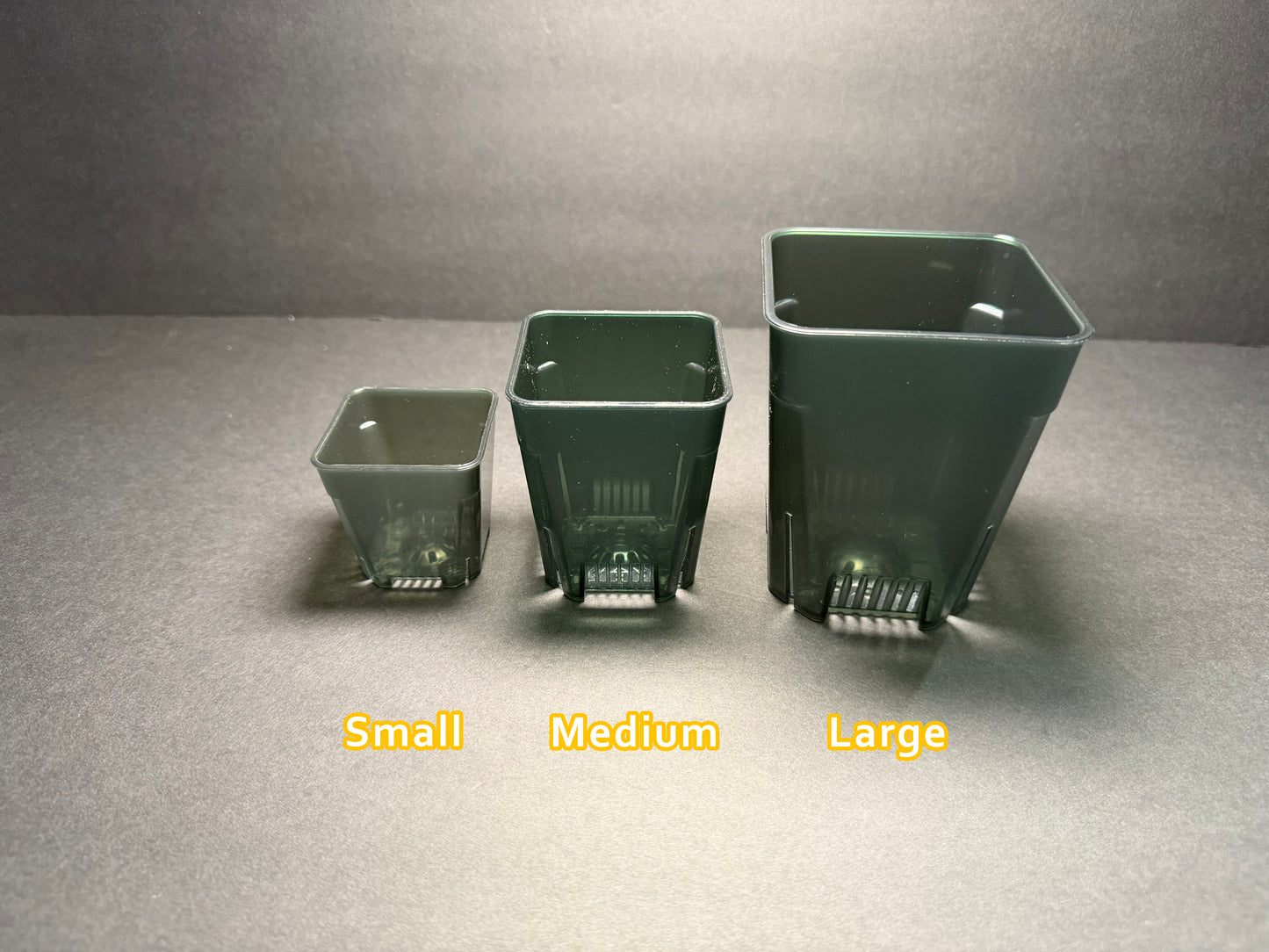 Black Clear Square Tall Planter Pots — Small / Medium / Large