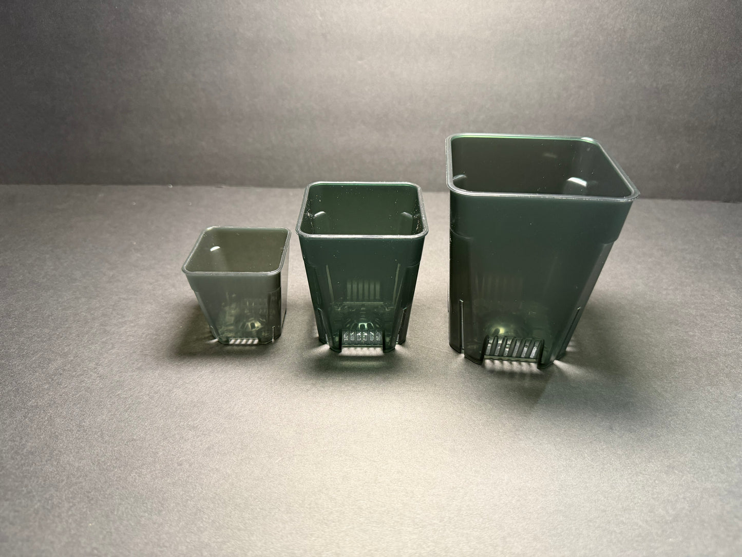 Black Clear Square Tall Planter Pots — Small / Medium / Large