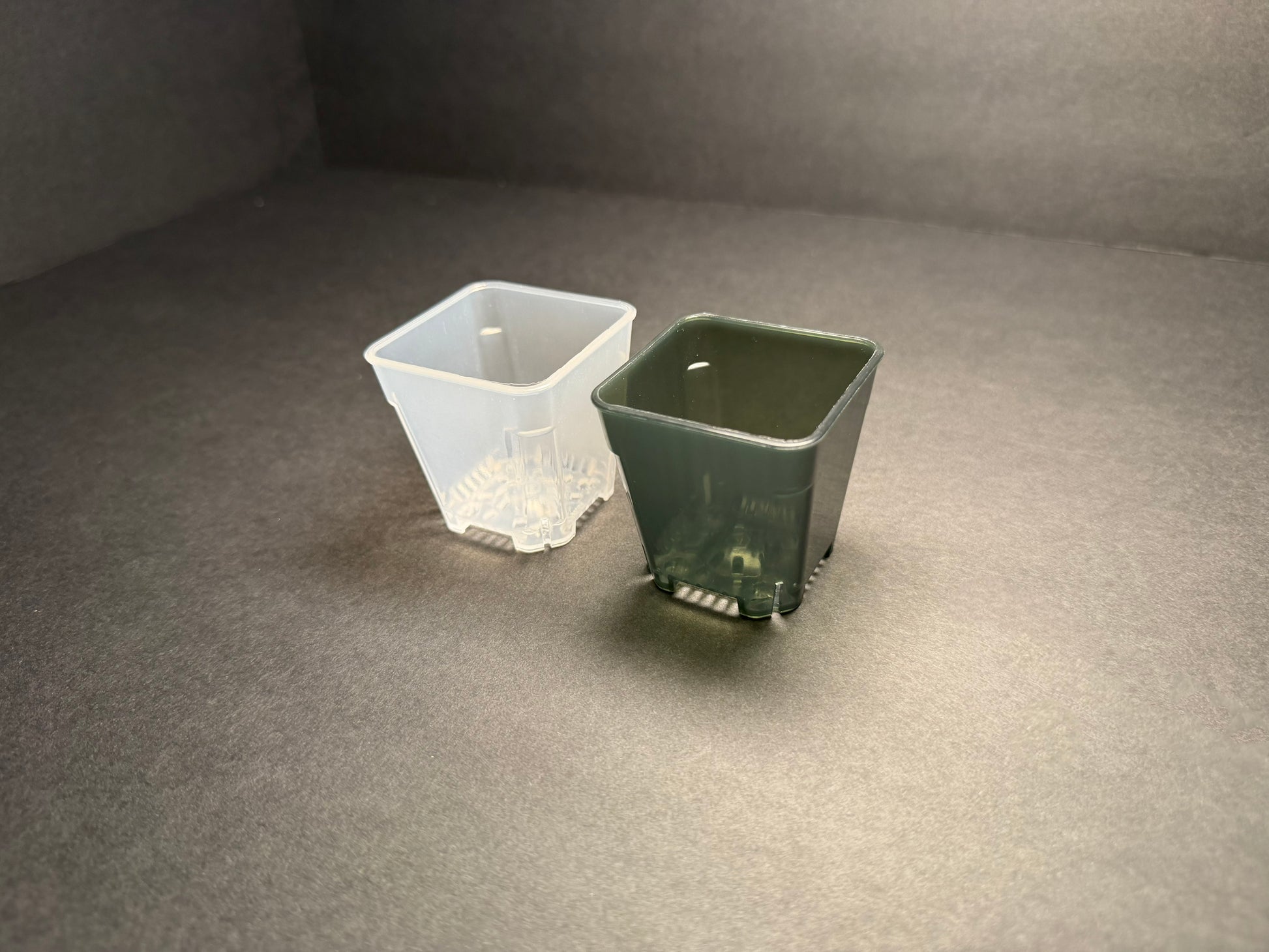 2 inch plastic plant pots Mini Translucent 2 inch Square Nursery and Seedling Pot Container Stud – The Moss Pole