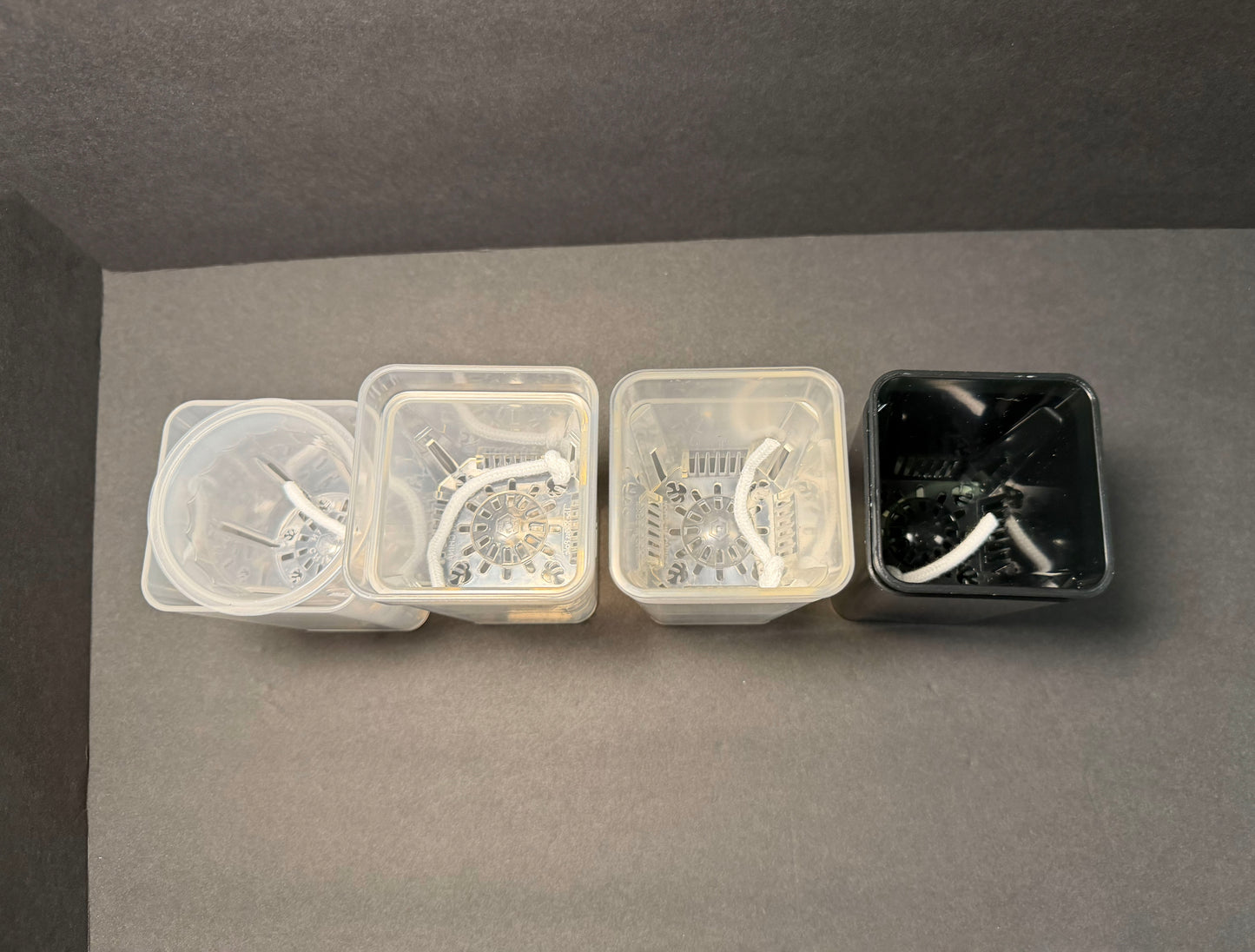 Self Watering Small Planter Pot | Semi-Transparent Hydro Pot | LECA PON Semi-Hydro Planter | Colorful Propagation Pot for Indoor Plants