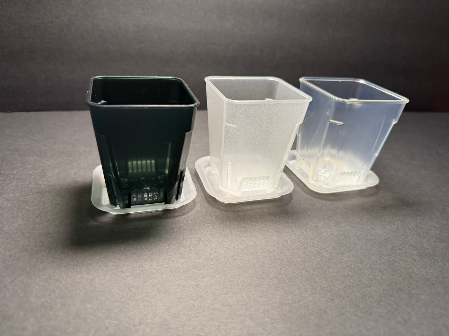 2.5” Transparent Tall Planter Pot — Clear, Black Clear & Glow-in-the-Dark