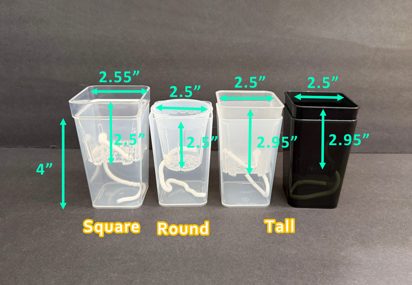 Self Watering Small Planter Pot | Semi-Transparent Hydro Pot | LECA PON Semi-Hydro Planter | Colorful Propagation Pot for Indoor Plants