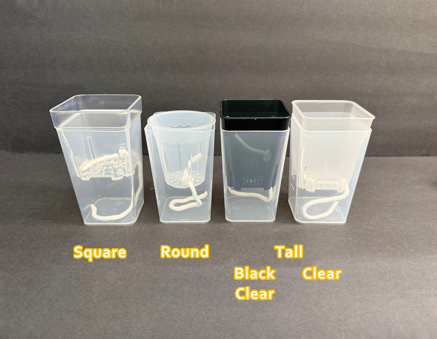 Self Watering Small Planter Pot | Semi-Transparent Hydro Pot | LECA PON Semi-Hydro Planter | Colorful Propagation Pot for Indoor Plants