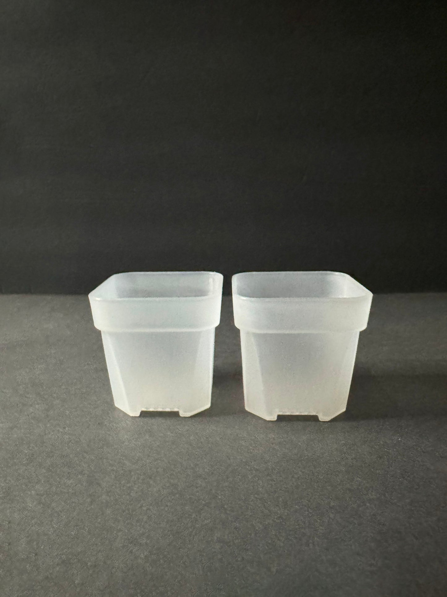 Small Translucent 2 inch Square Nursery and Seedling Pot Container Study Clear Pot 2 inch square clear planter | Small 2 inch Planter Pot