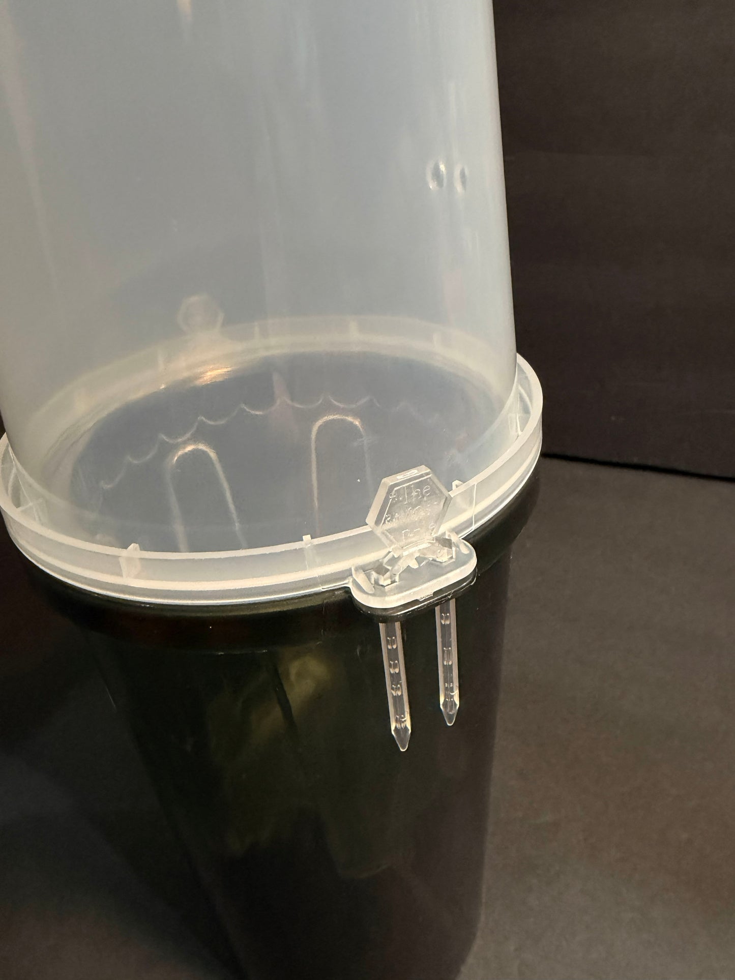 4-Inch Tall Water Reservoir | Fits All Our 4” Pots | Optional Humidity Dome & Hanging Basket