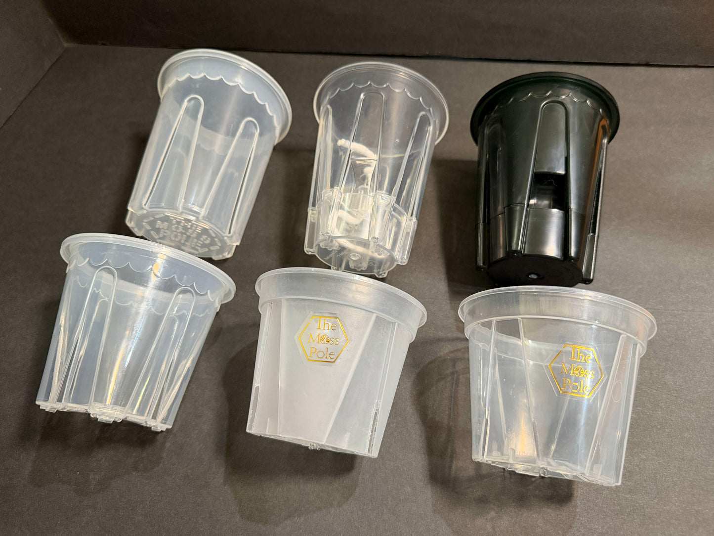 4-Inch Tall Water Reservoir | Fits All Our 4” Pots | Optional Humidity Dome & Hanging Basket