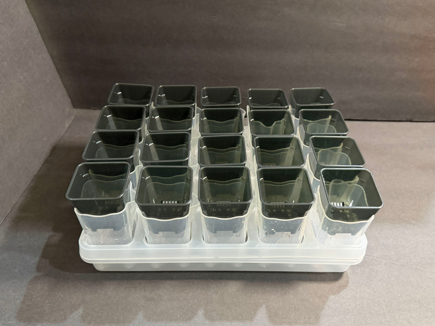 Mini Growing Station Set — 20 Small 2” Pots, Self-Water Bases + Matching Tray | Ideal for Seed Starting & Cuttings