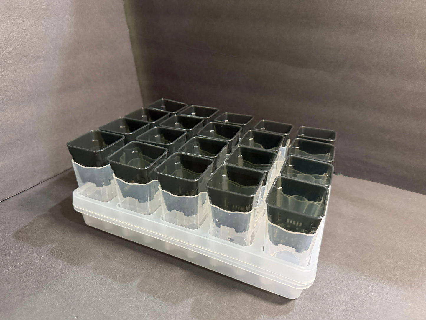 Mini Growing Station Set — 20 Small 2” Pots, Self-Water Bases + Matching Tray | Ideal for Seed Starting & Cuttings