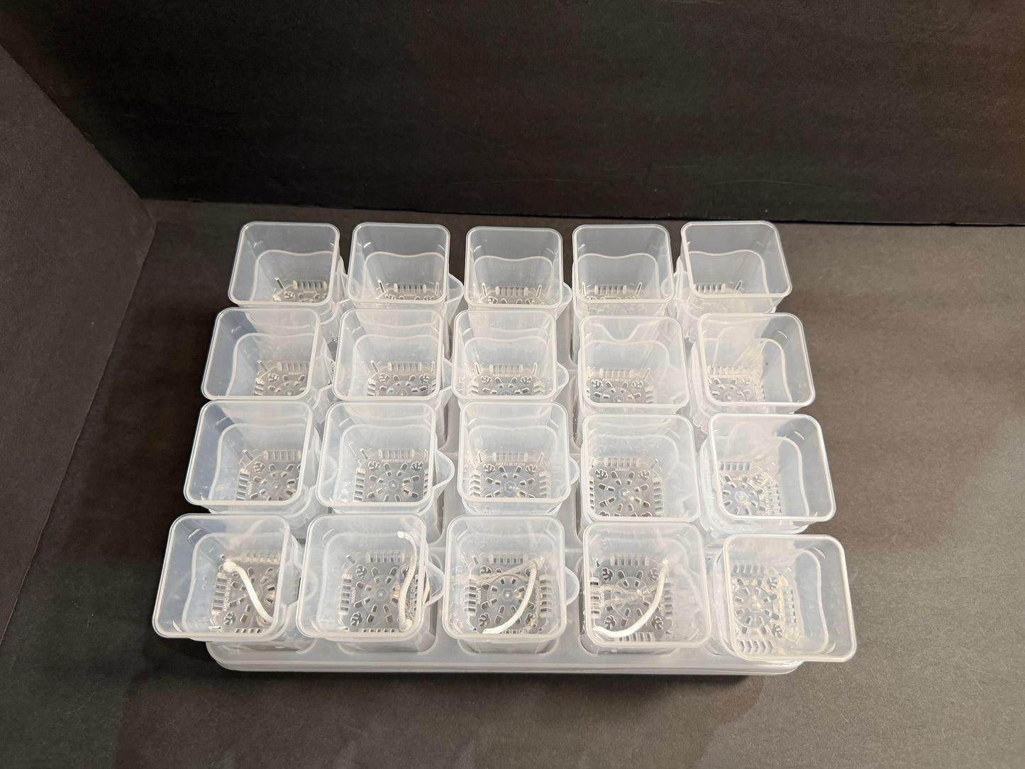 Mini Growing Station Set — 20 Small 2” Pots, Self-Water Bases + Matching Tray | Ideal for Seed Starting & Cuttings