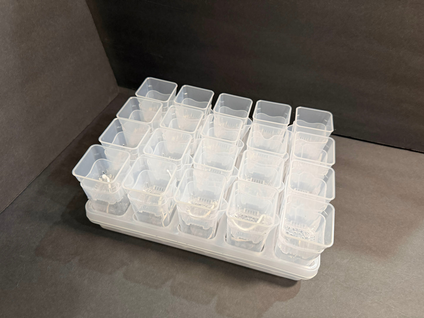 Mini Growing Station Set — 20 Small 2” Pots, Self-Water Bases + Matching Tray | Ideal for Seed Starting & Cuttings