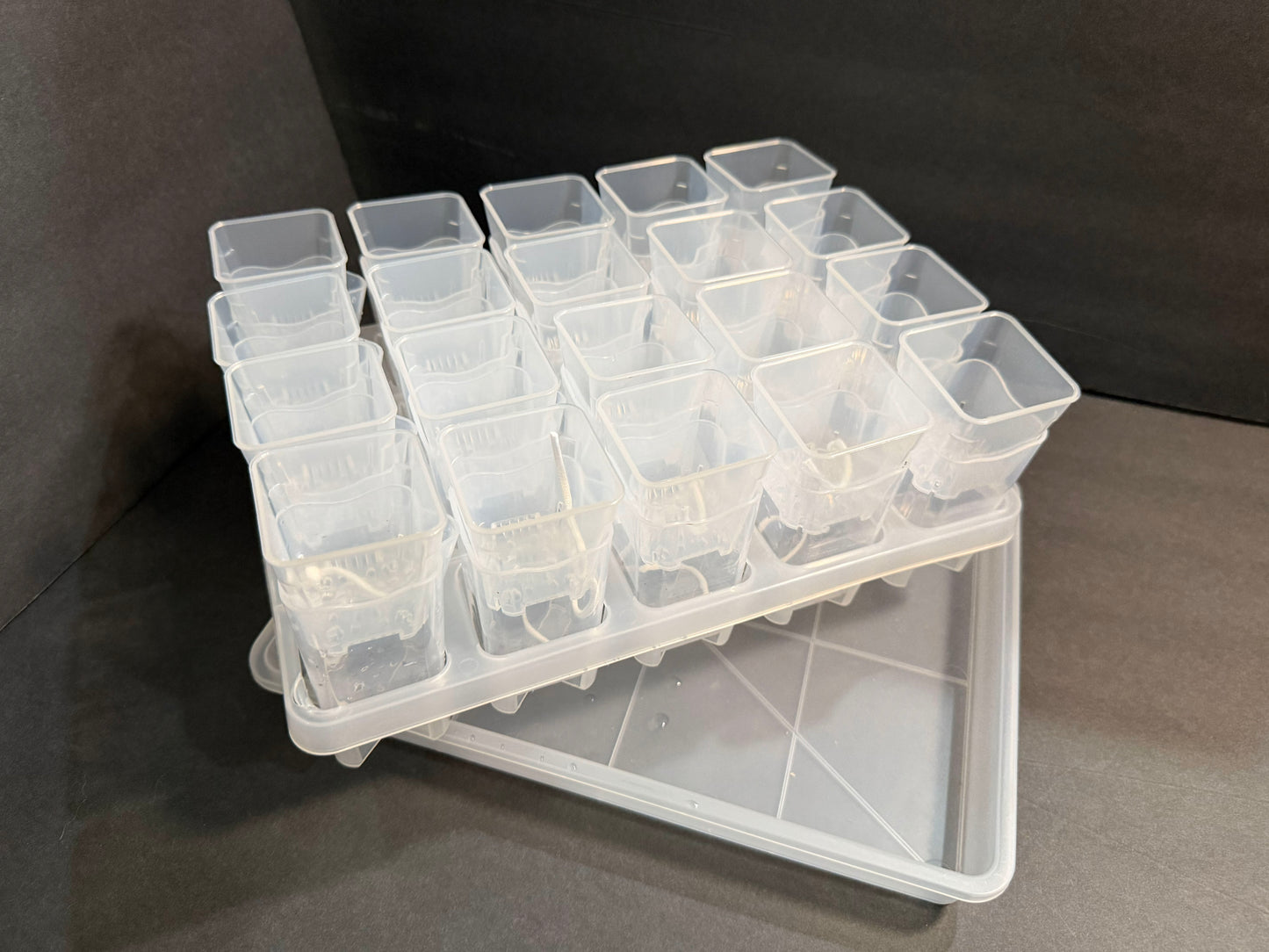 Mini Growing Station Set — 20 Small 2” Pots, Self-Water Bases + Matching Tray | Ideal for Seed Starting & Cuttings