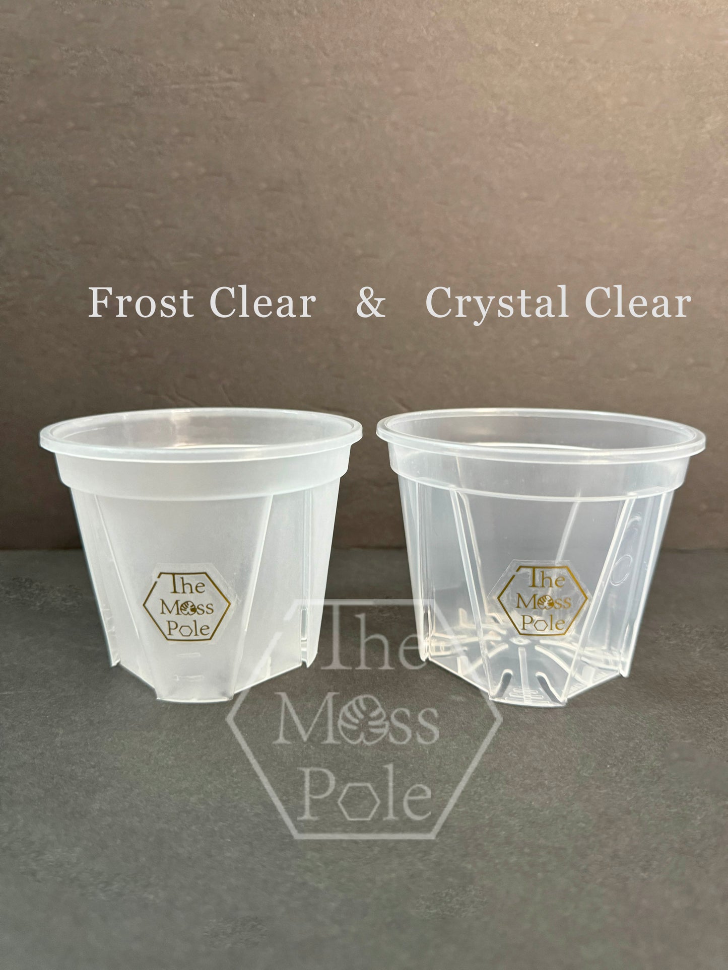 Crystal Clear high quality pot with good drainage! 4 - 6 inch transparent clear pot