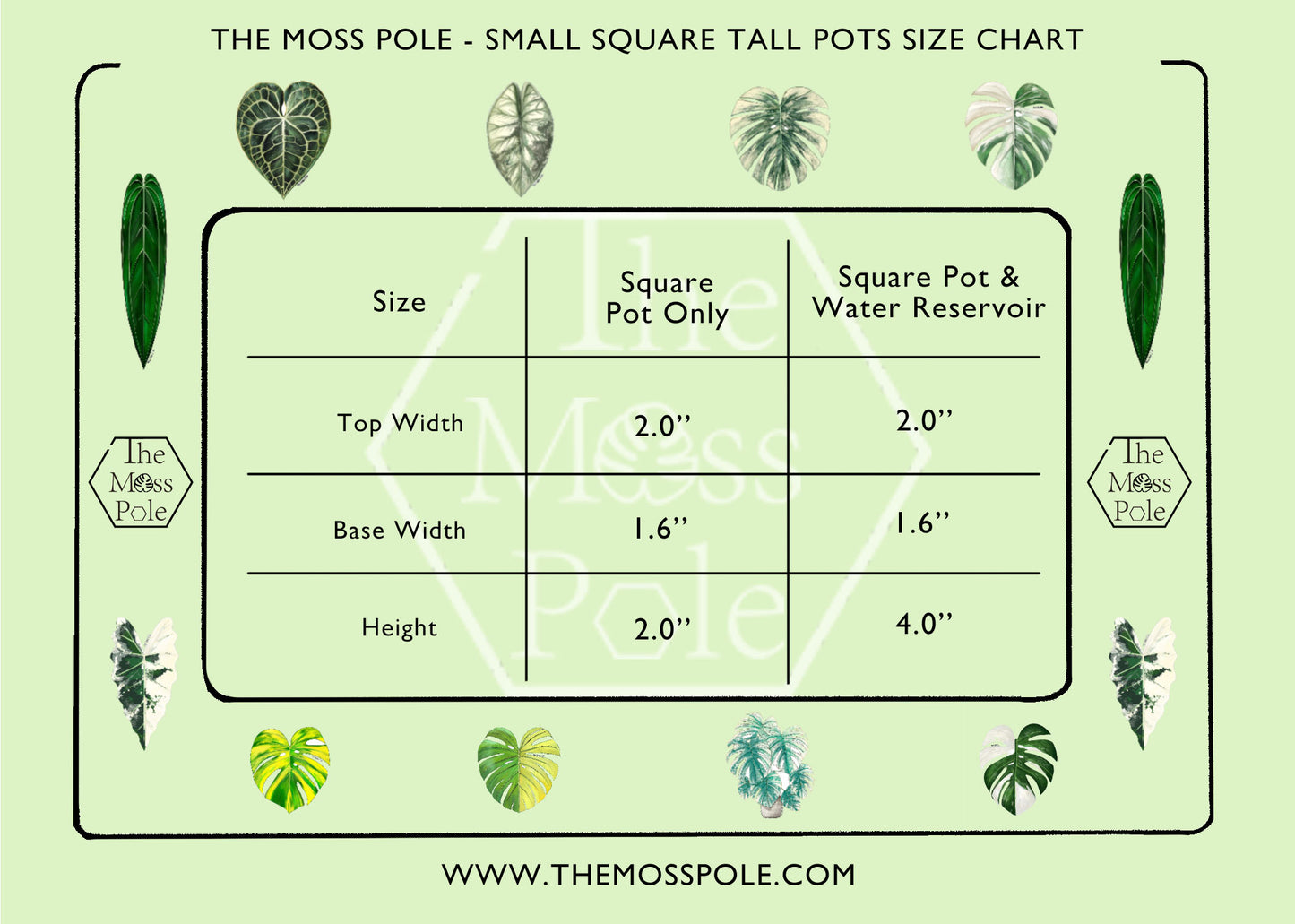 Clear Mini Self-Watering Pot – 2" Square Tall Planter | Semi-Hydro Pot  | Hydro Friendly Leca Pon Planter | Semi-Hydroponics Planter Pot