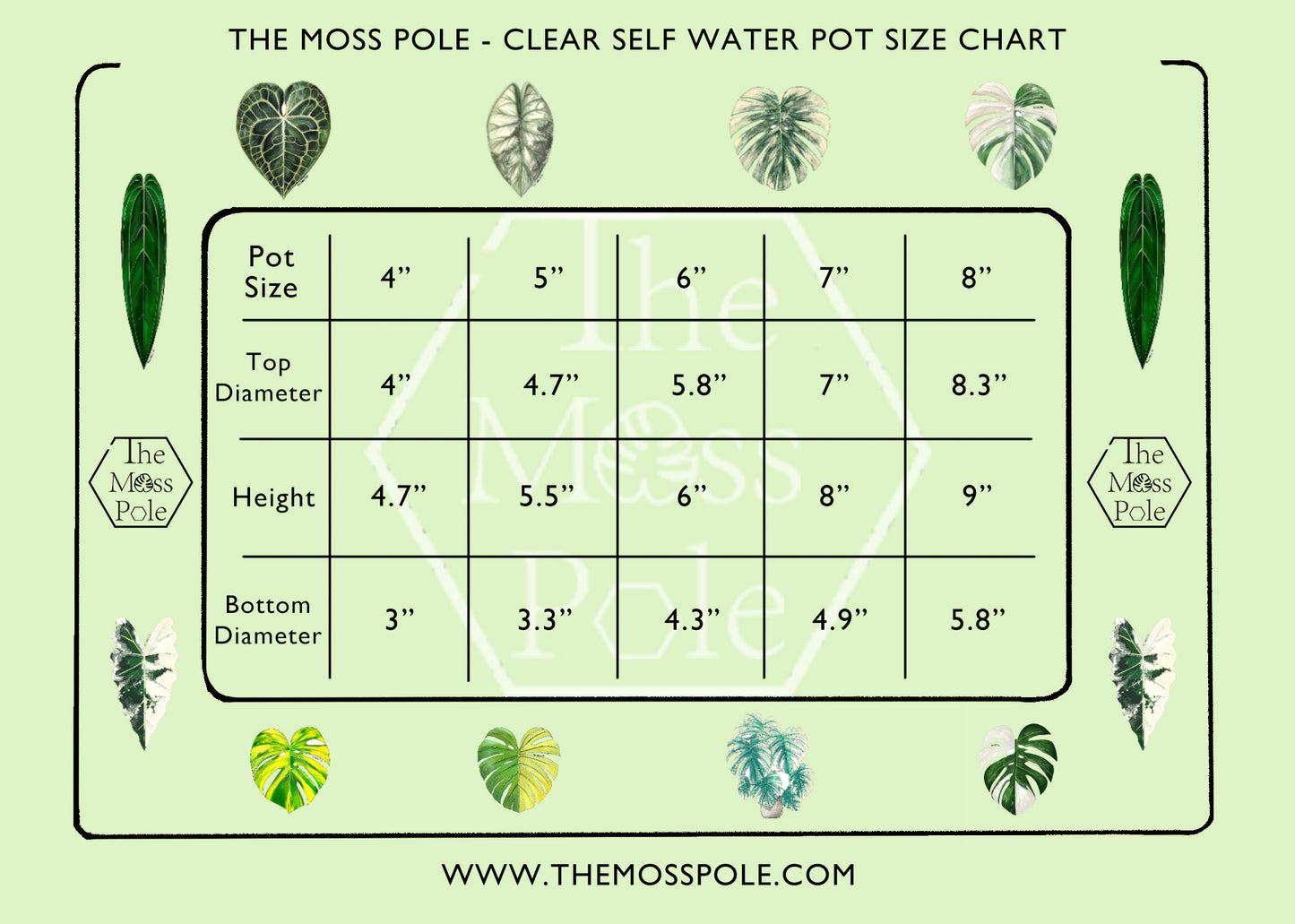 Clear Self-Watering Pot – 4" 5" 6" 7" 8" Sizes | Transparent Plastic Planter for Indoor Plants | Optional Wick + O-Ring