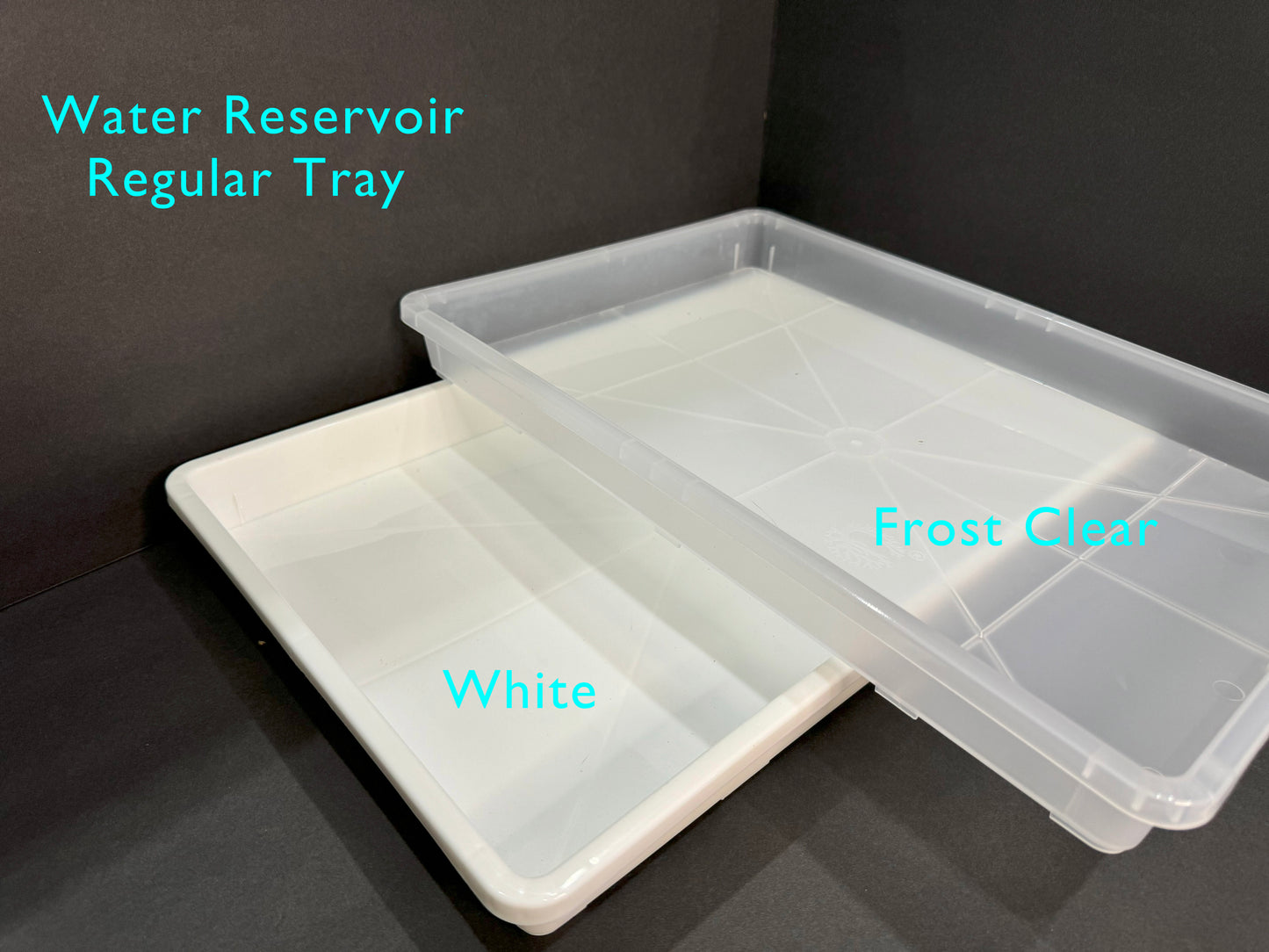 Seedling Starter Kit | Propagation Tray, Dome Cover, 40 Frosted Clear Pots | Shuttle Tray | Seed Germination Setup