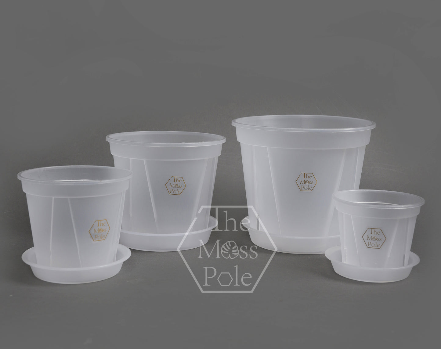 High quality Clear pot with good drainage! Multi-size Available!