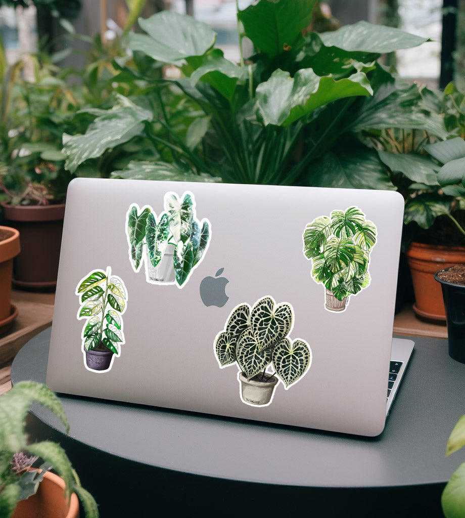 Plant Stickers - Monstera Stickers - Anthurium Stickers - Water Resistant Durable Vinyl Glossy Plant Stickers - Plant Lover Gift