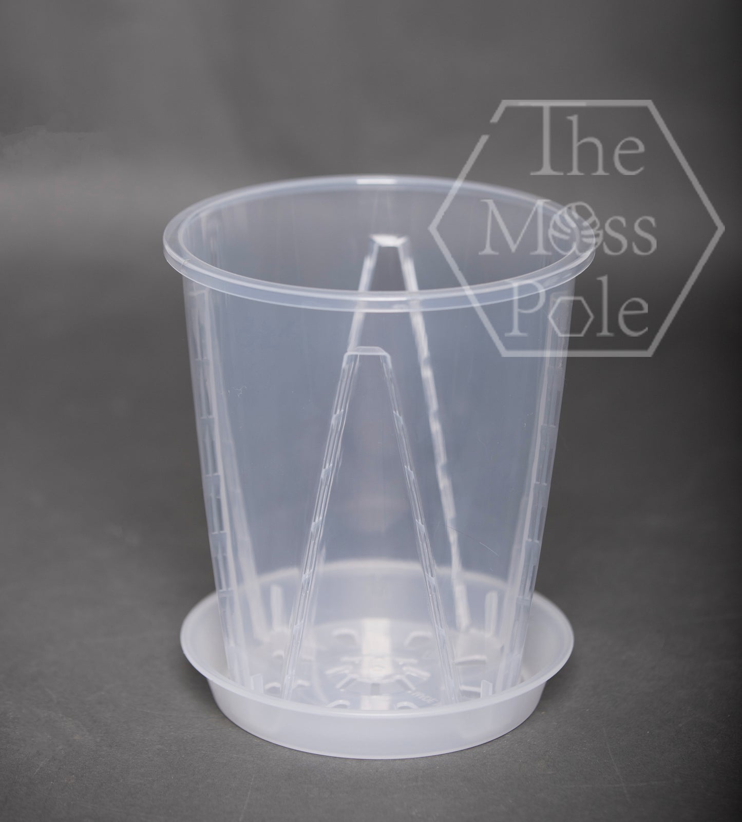 High quality TALL Clear pot with good drainage! Multi-size Available!