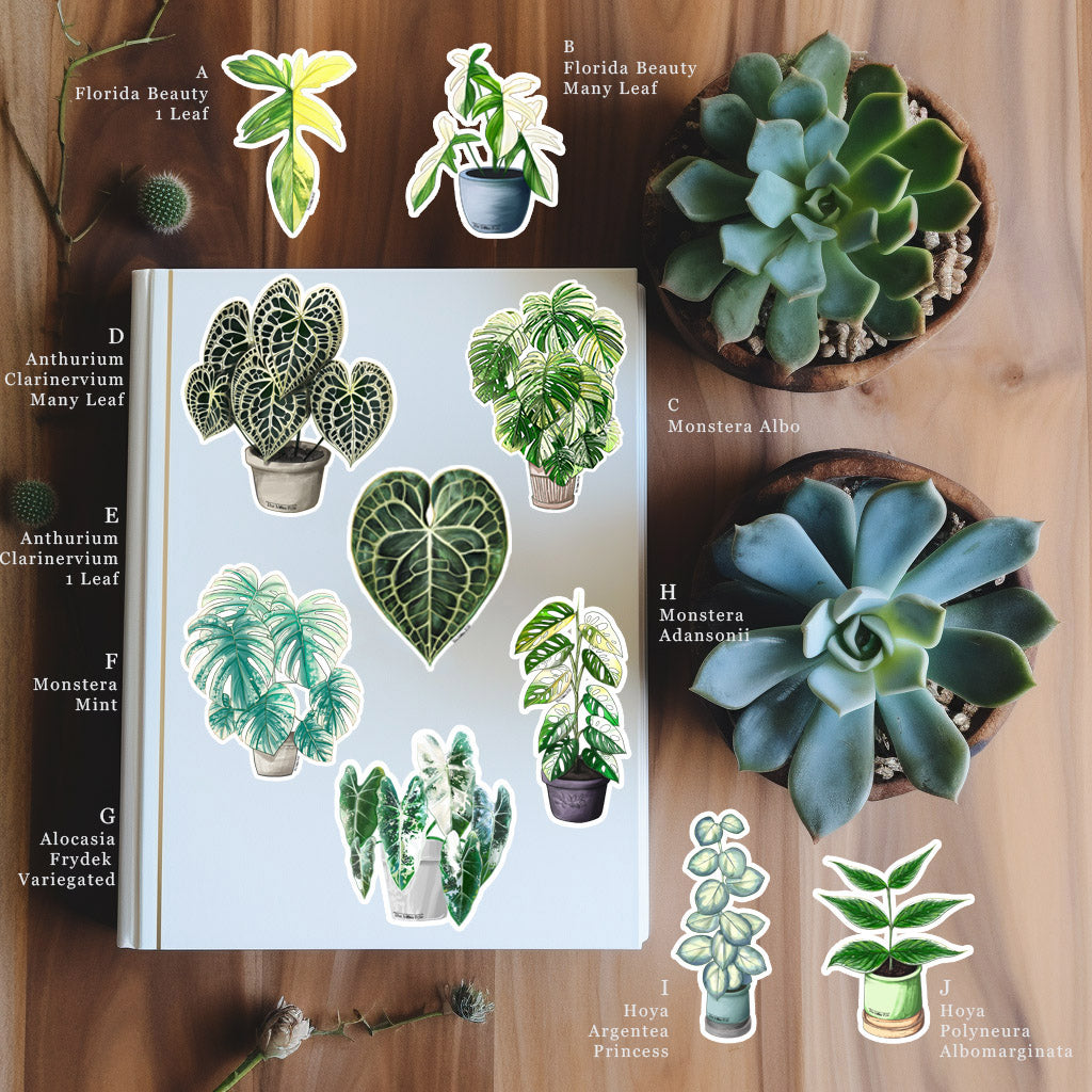 Plant Stickers - Monstera Stickers - Anthurium Stickers - Water Resistant Durable Vinyl Glossy Plant Stickers - Plant Lover Gift