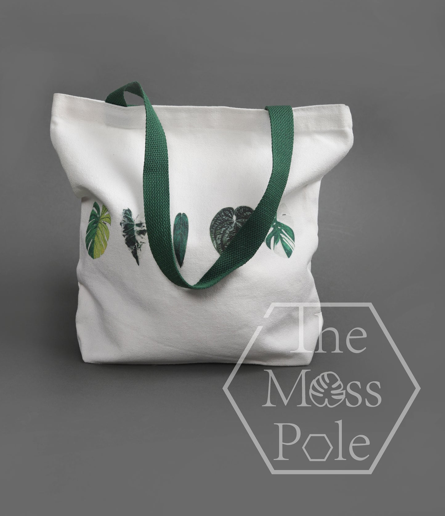 Stylish Aroid Tote Bag for Plant Enthusiasts - Eco-Friendly Canvas Bag with Monstera Leaf Print