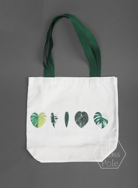 Stylish Aroid Tote Bag for Plant Enthusiasts - Eco-Friendly Canvas Bag with Monstera Leaf Print
