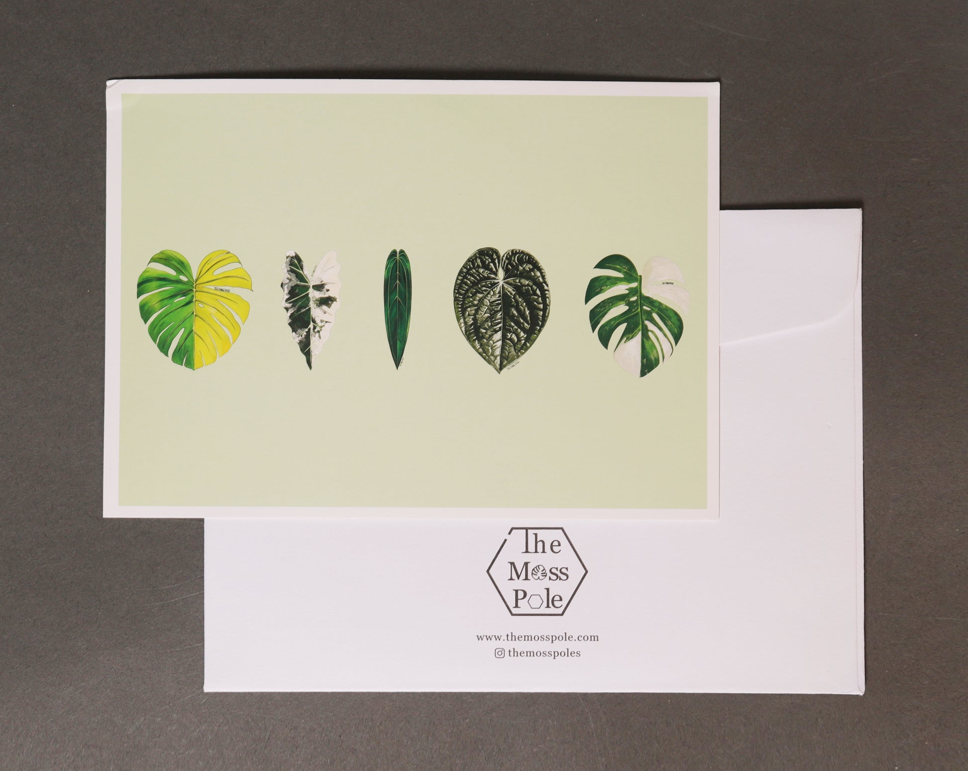 Artistic designed Aroid Rare Plants Greeting Card with Envelope Artistic designed Aroid Rare Plants Greeting Card with Envelope