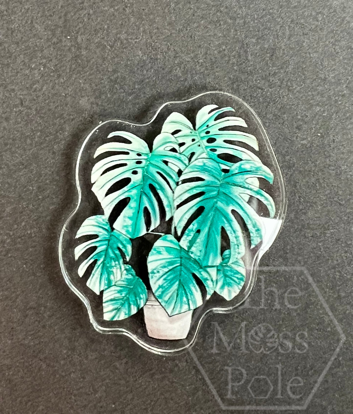 Assorted Tropical Rare Plant Magnet | Plant Lover Gift | Plant Kitchen Decor | Office Plant Decor Plants Refrigerator Magnets