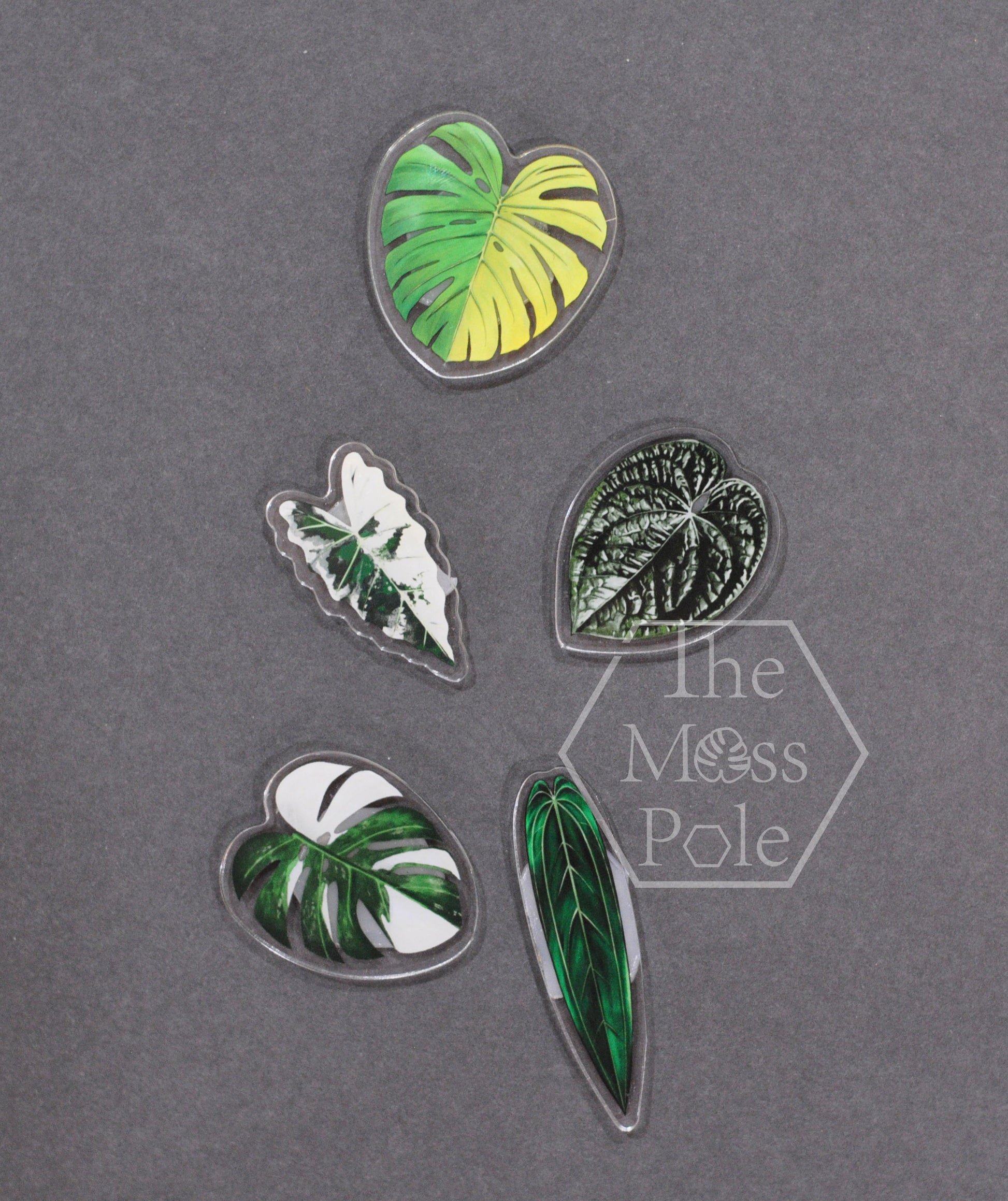 plant pins for moss pole Moss Pole Pin