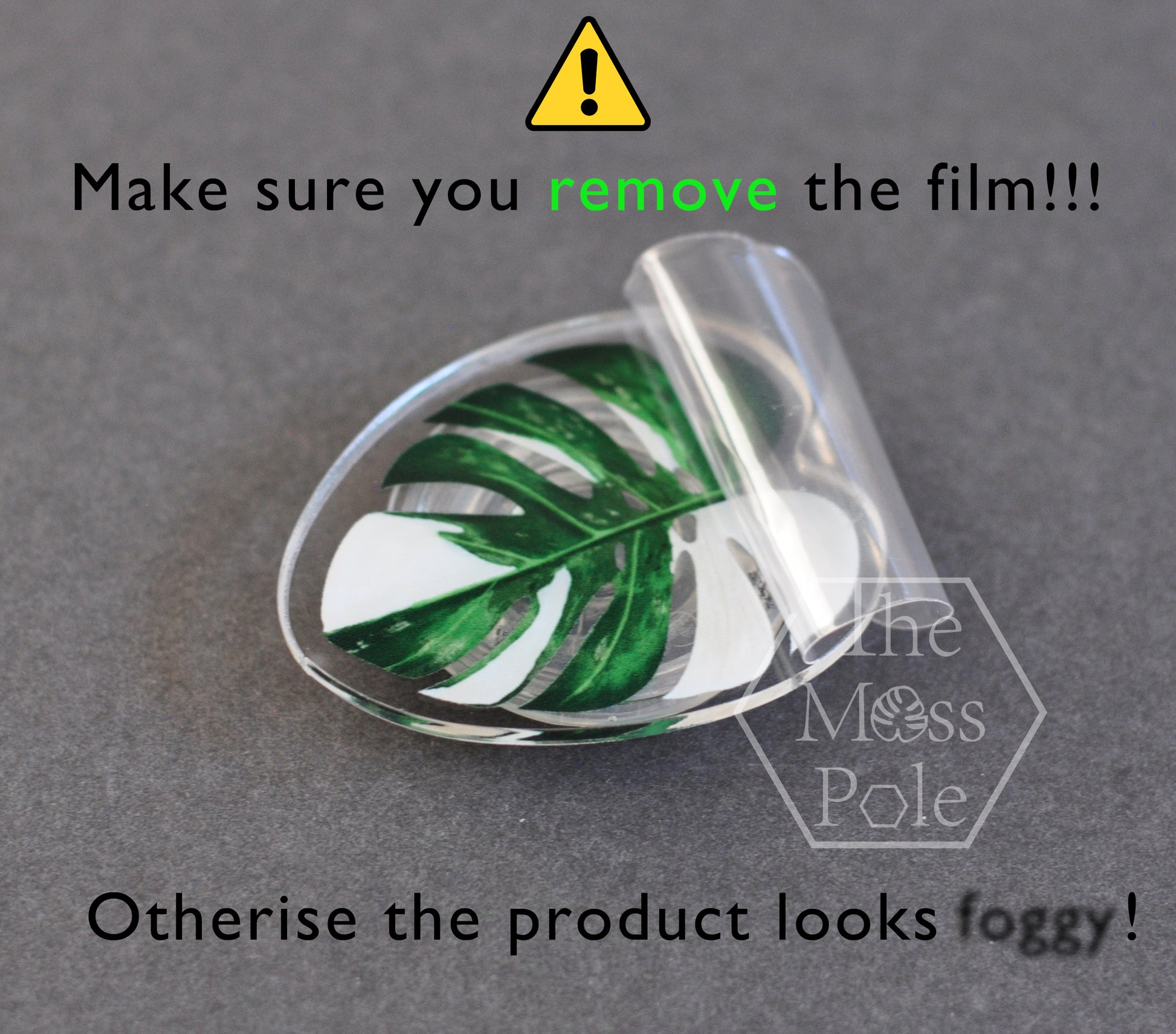 plant pins for moss pole Moss Pole Pin