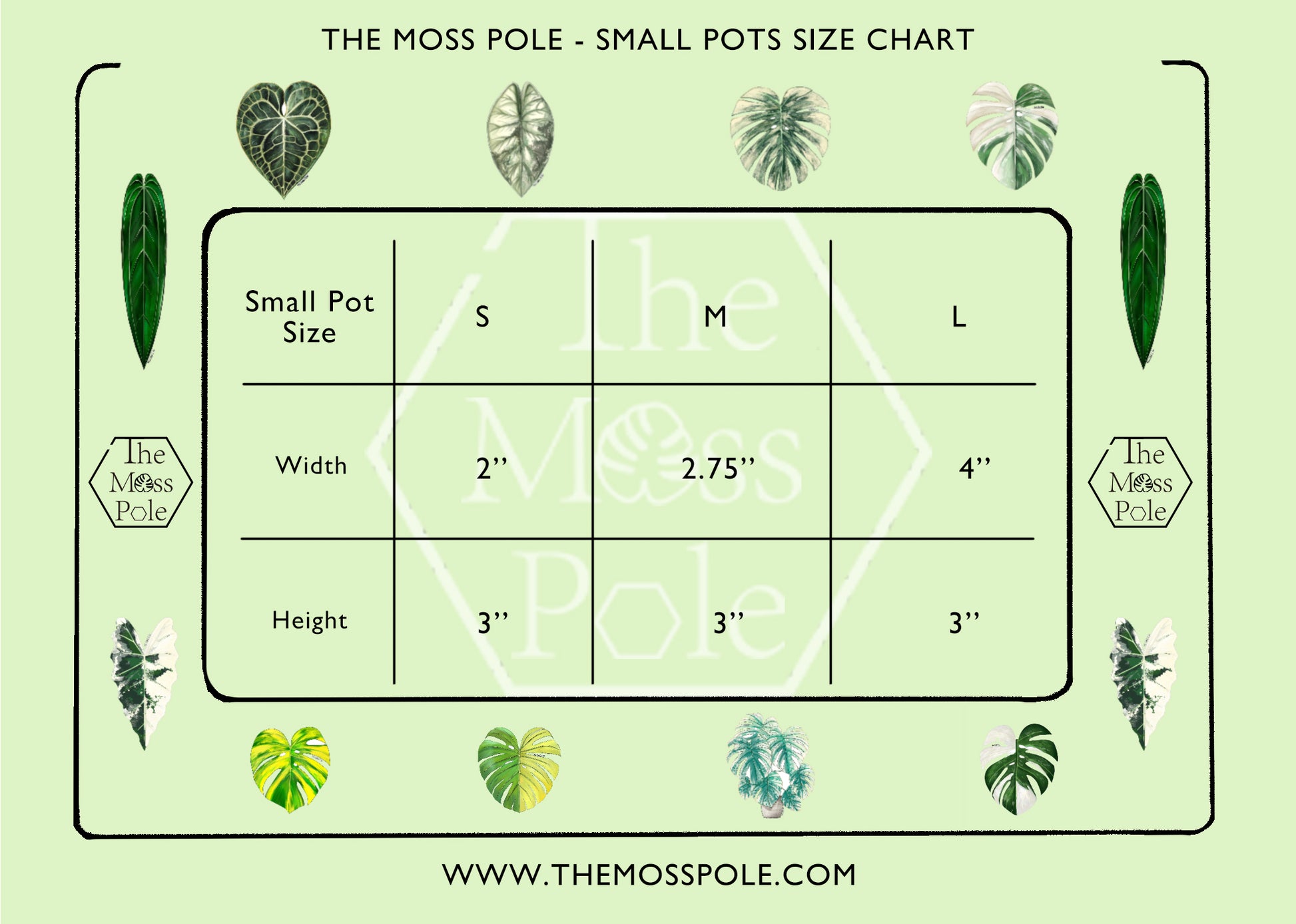 4 litre plant pot size Square Clear Plant Pot – The Moss Pole